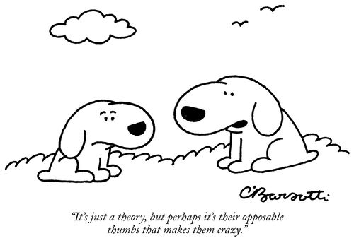 "It's just a theory, but perhaps it's their opposable thumbs that makes them crazy."