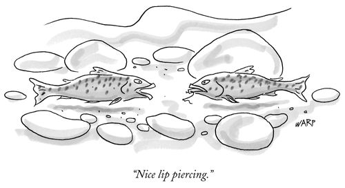 "Nice lip piercing."