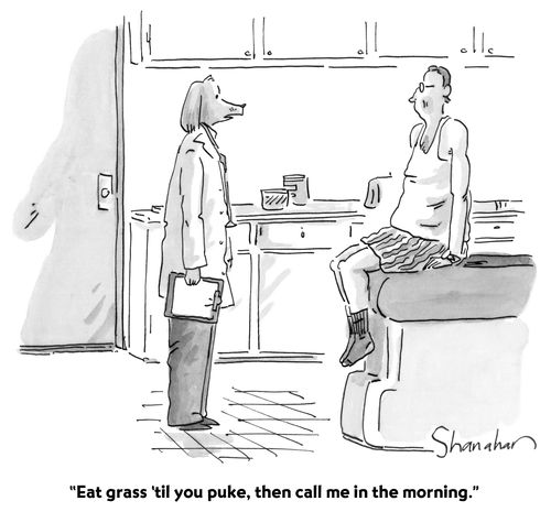 "Eat grass 'til you puke, then call me in the morning."