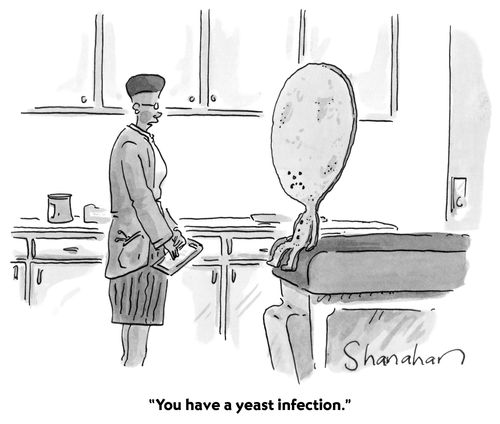 "You have a yeast infection."