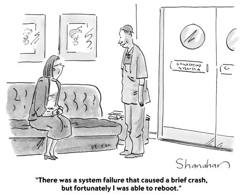 "There was a system failure that caused a brief crash, but fortunately I was able to reboot."