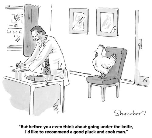 "But before you even think about going under the knife, I'd like to recommend a good pluck and cook man."