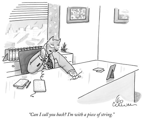"Can I call you back? I'm with a piece of string."