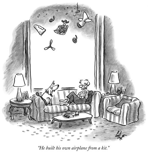 "He built his own airplane from a kit."