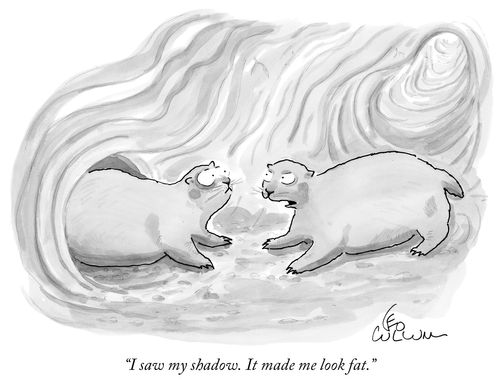 "I saw my shadow. It made me look fat."