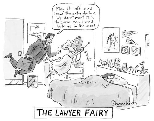 The Lawyer Fairy