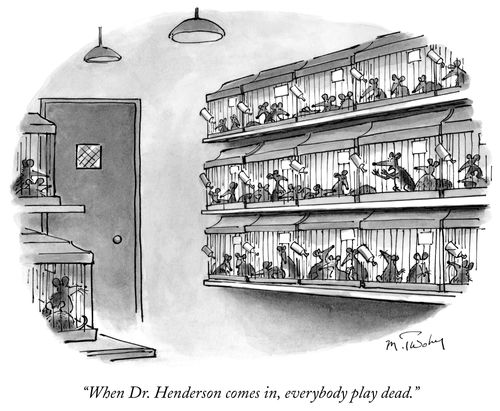 "When Dr. Henderson comes in, everybody play dead."