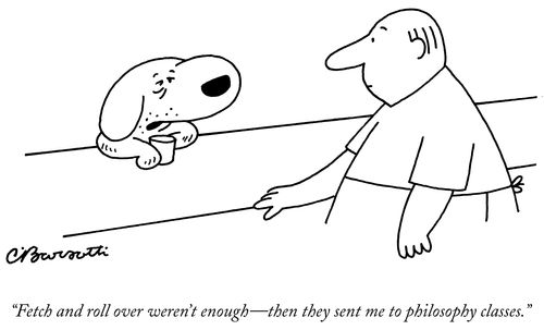 "Fetch and roll over weren't enough-then they sent me to philosophy classes."