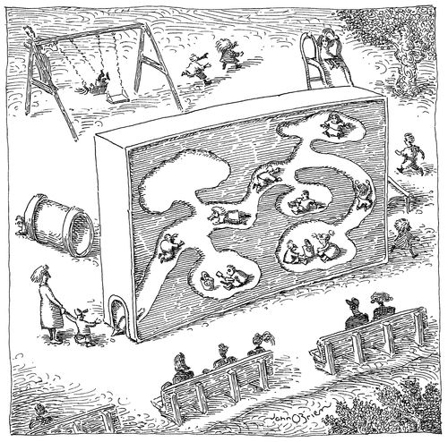 Giant Ant-Farm