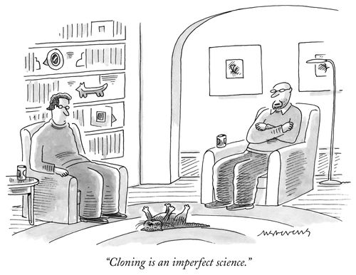 "Cloning is an imperfect science."