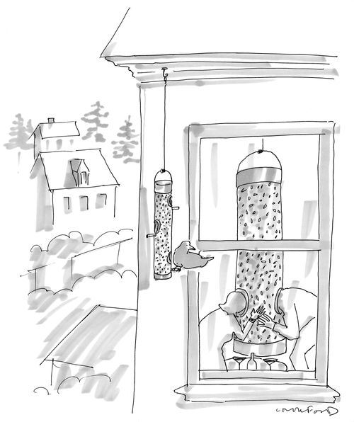A couple eat from a bird feeder.