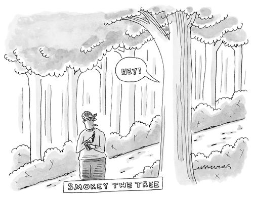 "Smokey The Tree"
