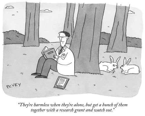 "They're harmless when they're alone, but get a bunch of them together with a research grant and watch out."