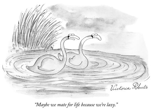"Maybe we mate for life because we're lazy."