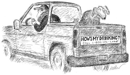 "How's my drinking?" bumper sticker