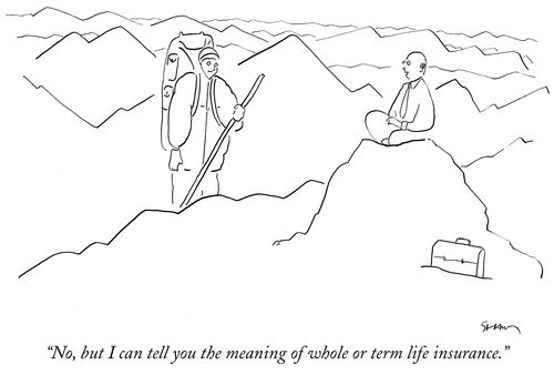 "No, but I can tell you the meaning of whole or term life insurance."