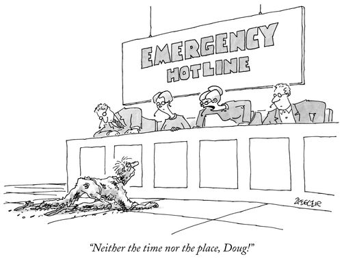 "Neither the time nor the place, Doug!"