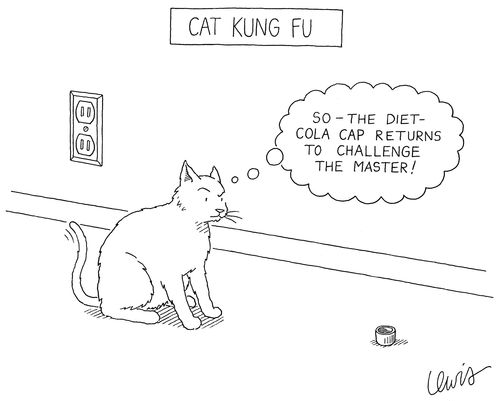 Cat Kung Fu