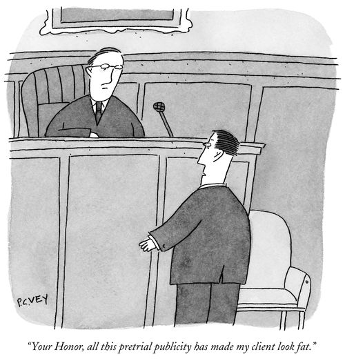 "Your Honor, all this pretrial publicity has made my client look fat."