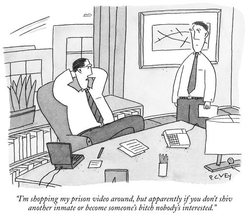 "I'm shopping my prison video around, but apparently if you don't shiv another inmate or become someone's bitch nobody's interested."