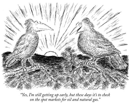 "Yes, I'm still getting up early, but these days it's to check on the spot markets for oil and natural gas."
