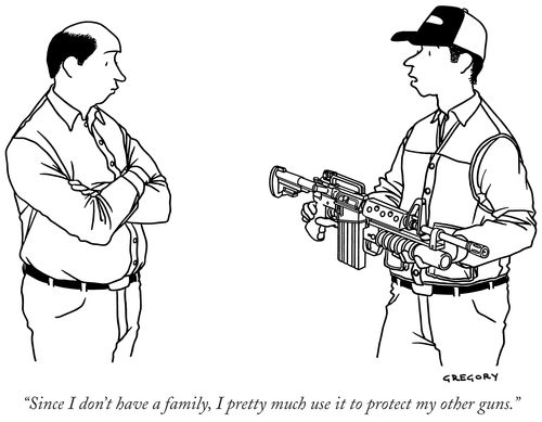 "Since I don't have a family, I pretty much use it to protect my other guns."