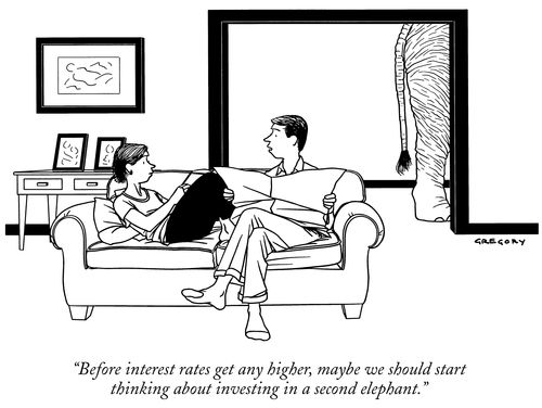 "Before interest rates get any higher, maybe we should start thinking about investing in a second elephant."