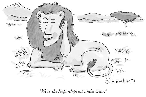 "Wear the leopard-print underwear."