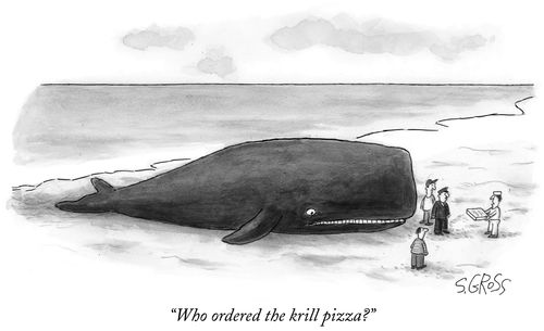 "Who ordered the krill pizza?"
