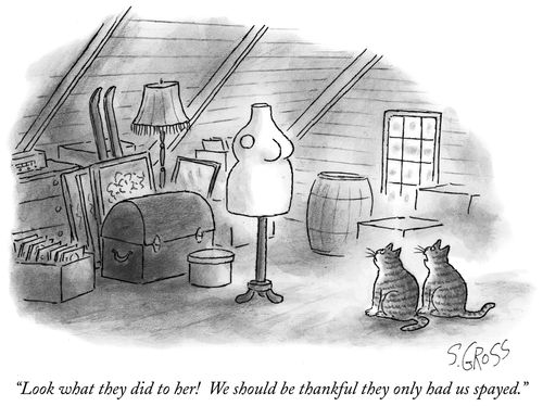 "Look what they did to her! We should be thankful they only had us spayed."