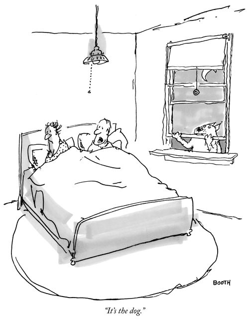 "It's the dog."
