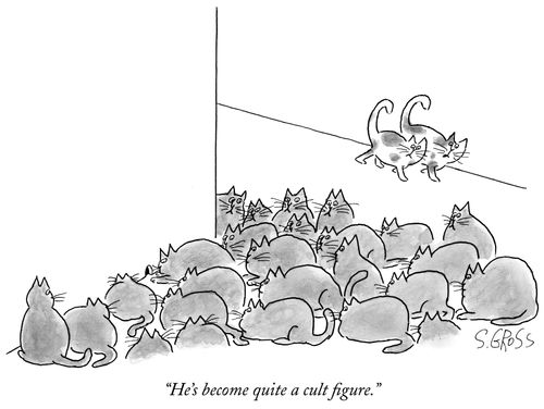 "He's become quite a cult figure."