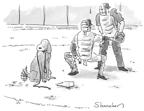 Taking the dog for a walk.