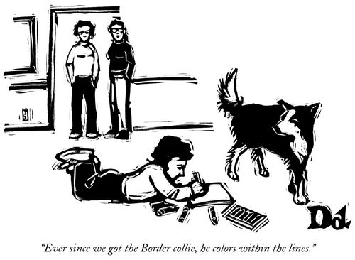 "Ever since we got the Border collie, he colors within the lines."