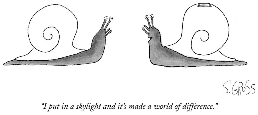 "I put in a skylight and it's made a world of difference."