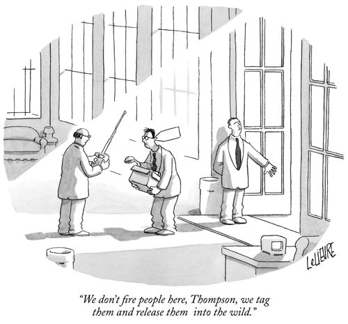 "We don't fire people here, Thompson, we tag them and release them into the wild."