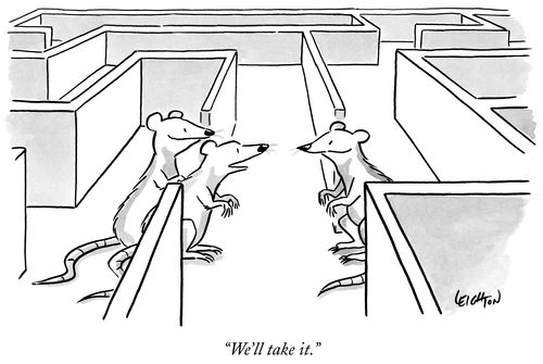 "We'll take it."