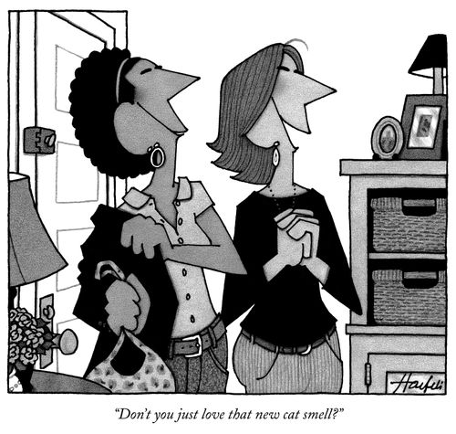 "Don't you just love that new cat smell?"