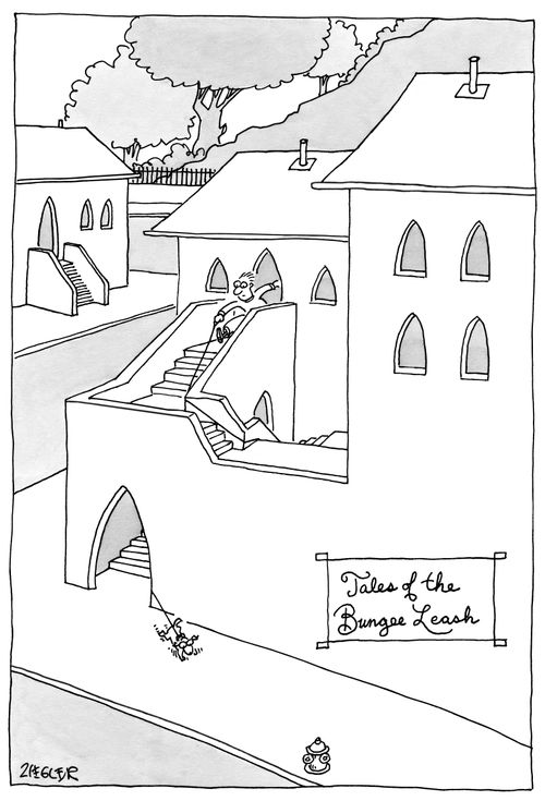 "Tales of the Bungee Leash"