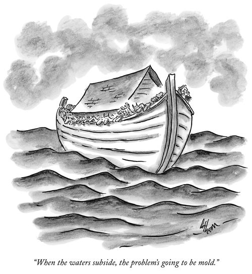 "When the waters subside, the problem's going to be mold."