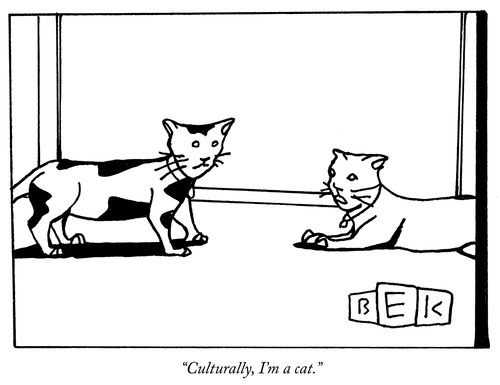 "Culturally, I'm a cat."