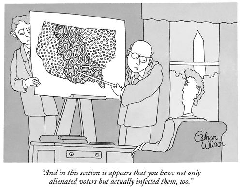 "And in this section it appears that you have not only alienated voters but actually infected them, too."