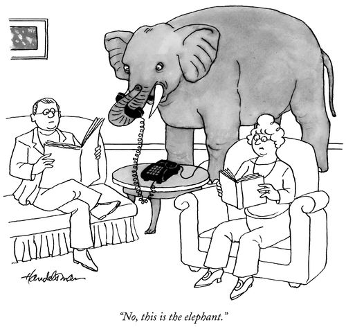 "No, this is the elephant."