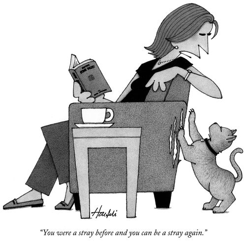 "You were a stray before and you can be a stray again."