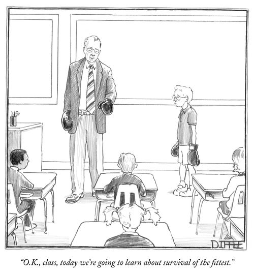 "O.K., class, today we're going to learn about survival of the fittest."