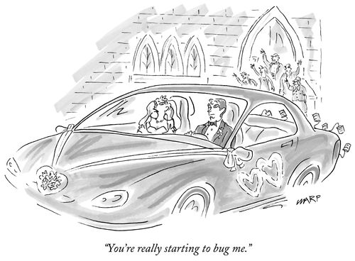 "You're really starting to bug me."