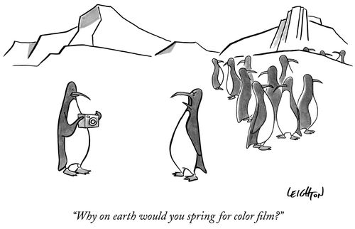 "Why on earth would you spring for color film?"