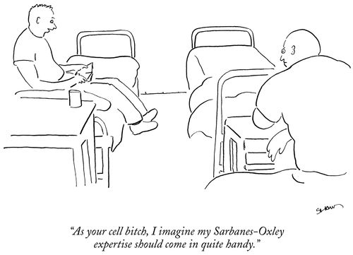 "As your cell bitch, I imagine my Sarbanes-Oxley expertise should come in quite handy."