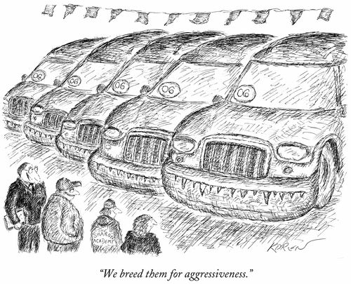 "We breed them for aggressiveness."