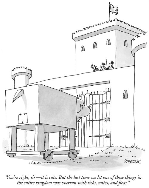 "You're right, sir—it is cute. But the last time we let one of these things in the entire kingdom was overrun with ticks, mites, and fleas."
